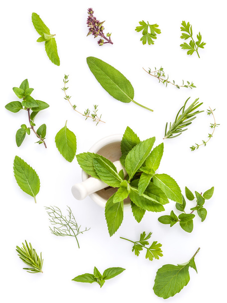 Various fresh herbs from the garden holy basil , basil flower ,r - Photo, Image