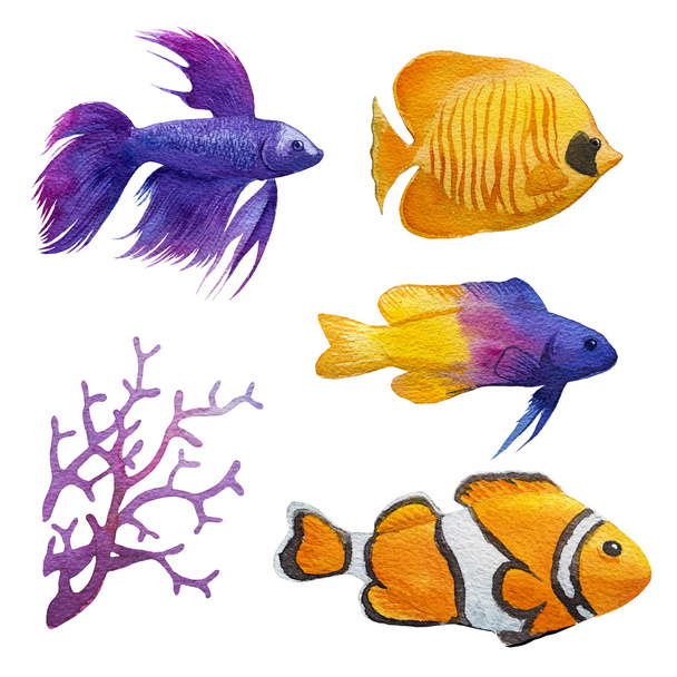 aquário peixe aquarela ilustração
 - Foto, Imagem