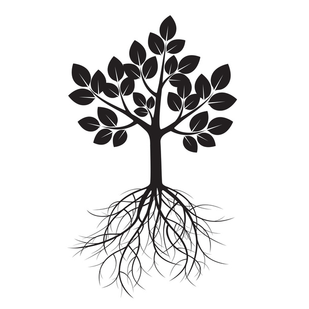 Black Tree and Roots. Vector Illustration. - Vector, Image