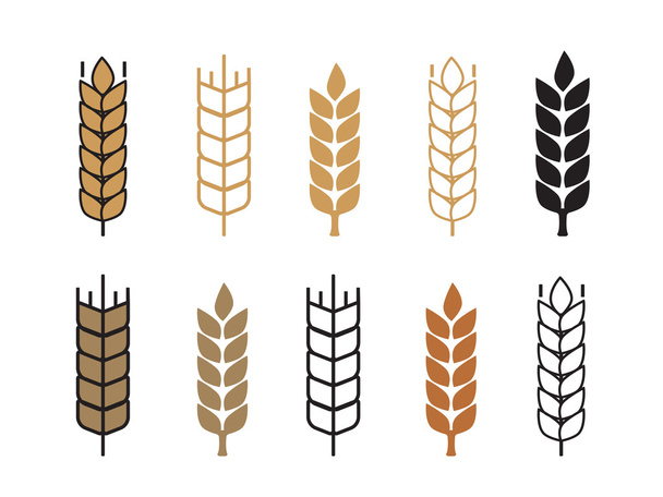 icono de espiga de trigo conjunto
 - Vector, Imagen