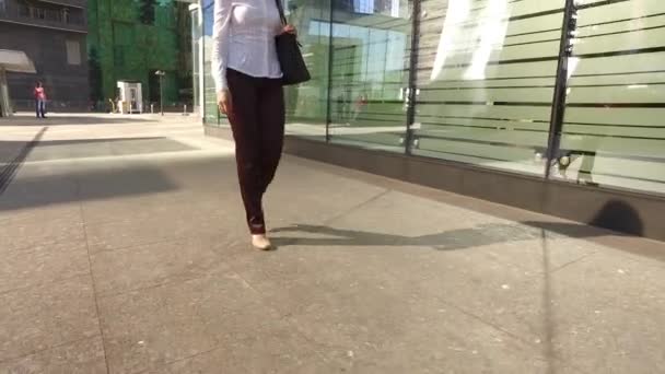 Happy beautiful girl is walking along the skyscrapers and luxury offices (steadicam shot) - Materiaali, video