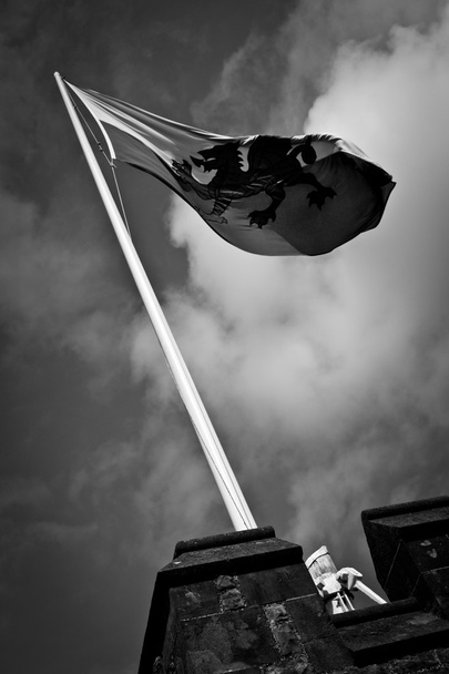 Vlag van Cardiff Castle - Foto, afbeelding