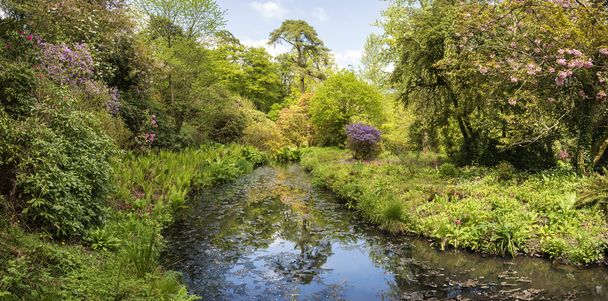 Obraz pejzaż piękny ogród krajobrazowy, w Dorset Englan - Zdjęcie, obraz