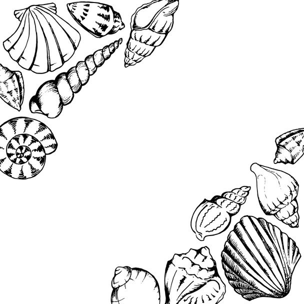 Monochrome sea shells line art hand drawn frame vector isolated - Vector, Image