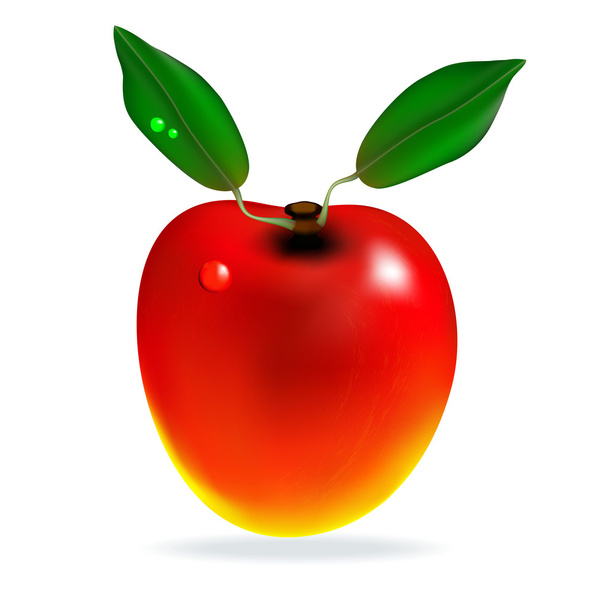 Красное манго
 - Вектор,изображение