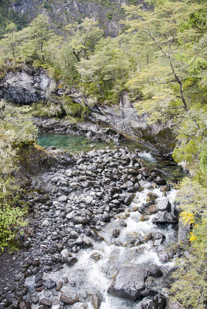 Vista del Parque Nacional Vicente Pérez Rosales - Chile
 - Foto, imagen