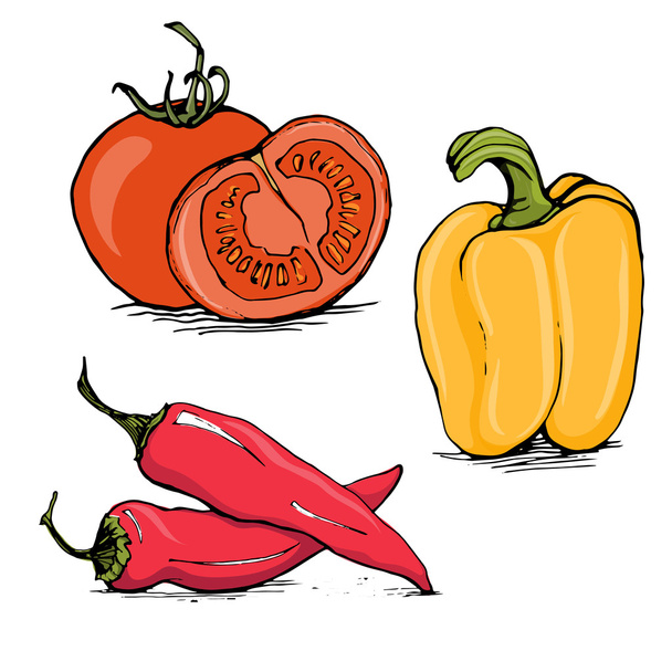 Ripe tomato, yellow bell pepper and red hot chilli - Vector, imagen