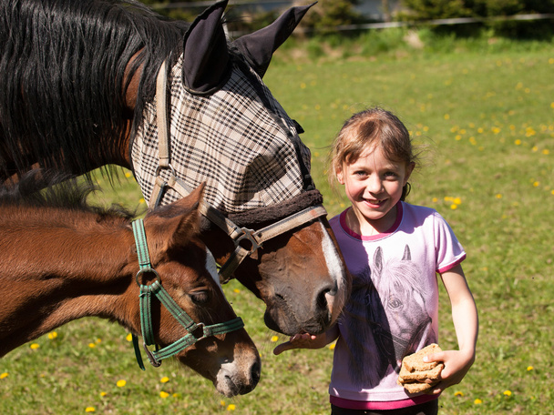 Retrato de menina alimentando égua e potro com pão
 - Foto, Imagem