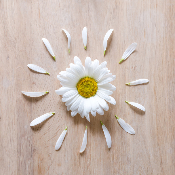 Ромашкова квіткова голова з пелюстками
 - Фото, зображення