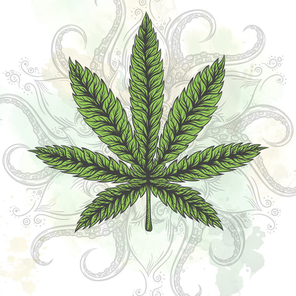 Marijuana leaf. Hand drawn isolated illustrations. - Vettoriali, immagini