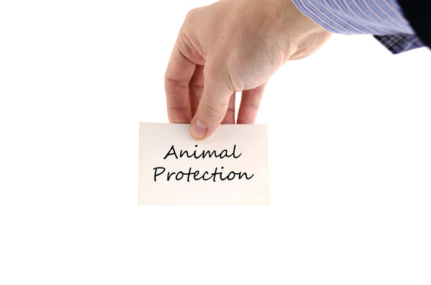 Concept de texte de protection animale
 - Photo, image