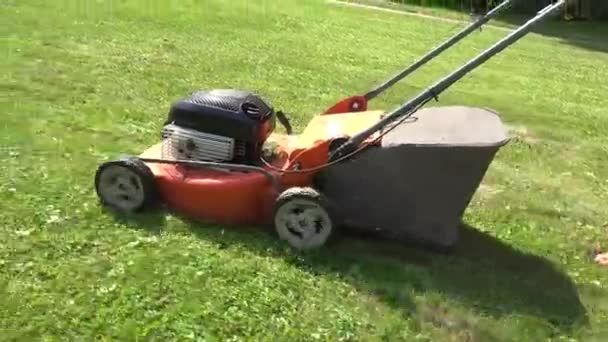 peasant woman in flip-flop shoes walk push lawn cutter mower machine. 4K - Footage, Video