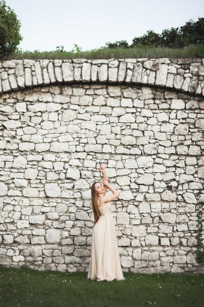 Beautiful girl, model with long hair posing in park near great wall. Krakow Vavel - Фото, изображение