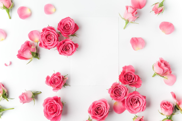 Framework from roses on white background. Flat lay. Top view - 写真・画像