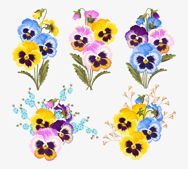Set of pansy bouquets - Vector, afbeelding