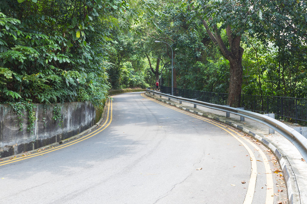 Road with trees on both sides. - 写真・画像