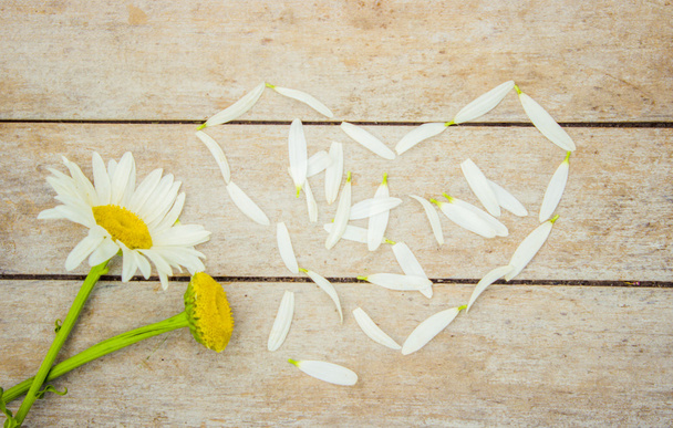 chamomile on wooden background. divination. - Photo, Image