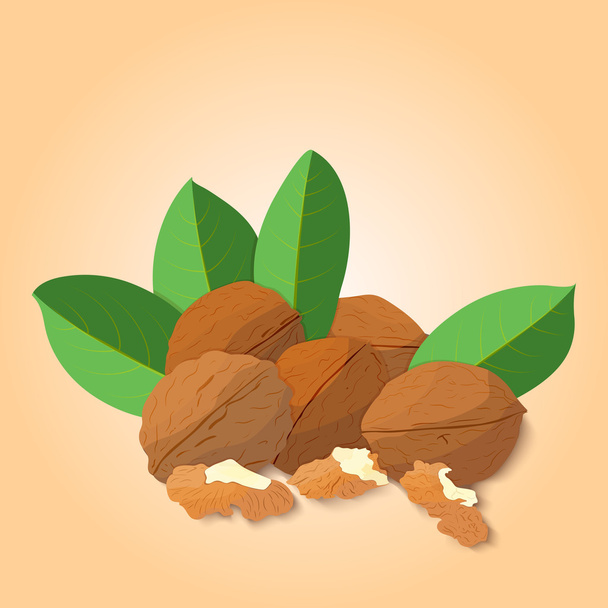 Vector illustration Walnut nut. A handful of shelled Walnuts nuts in shell and shelled, leaves. Tasty Image on beige background nuts for printing on packaging, advertising of healthy foods - Vector, Image