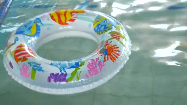 Kreis schwimmt im Pool - Filmmaterial, Video