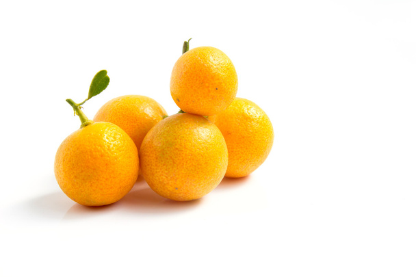 Kumquat arancione posto su sfondo bianco
 - Foto, immagini