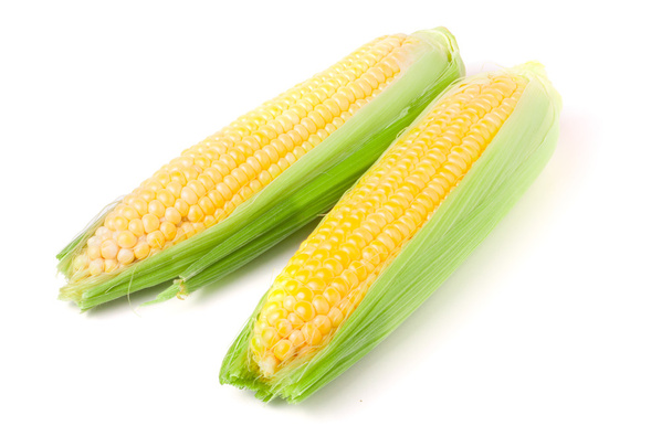Two ear of corn with leaves isolated on white background - Photo, Image
