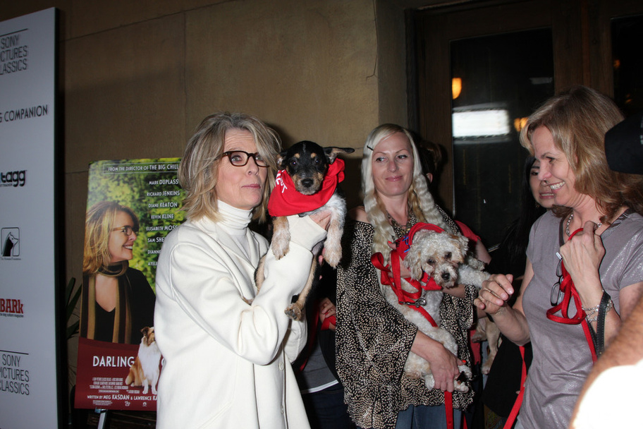 Diane Keaton, Teri Austin and Rescue dogs up for adoption - Photo, image
