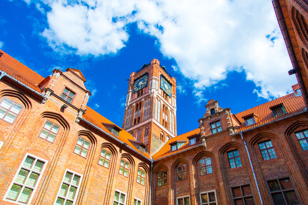 gyönyörű Egyetem-Torun - Fotó, kép