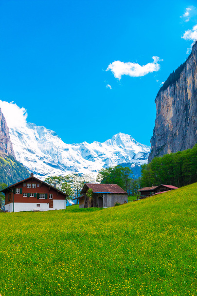 Faház a zöld hegy lejtőjén. Svájci Alpokban. Lauterbrunnen, Mária - Fotó, kép