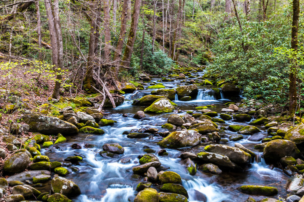 Forest Creek. Cascades d'eau sur des roches couvertes de mousse
. - Photo, image