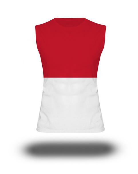 athletic sleeveless shirt with Indonesia flag on white background and shadow - Fotografie, Obrázek