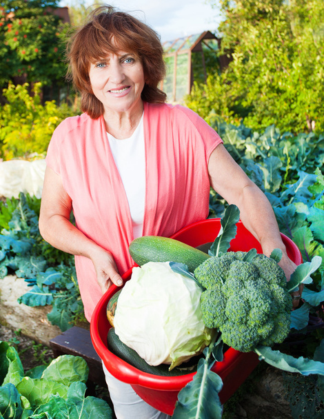 Woman grows harvest in the garden - Photo, image