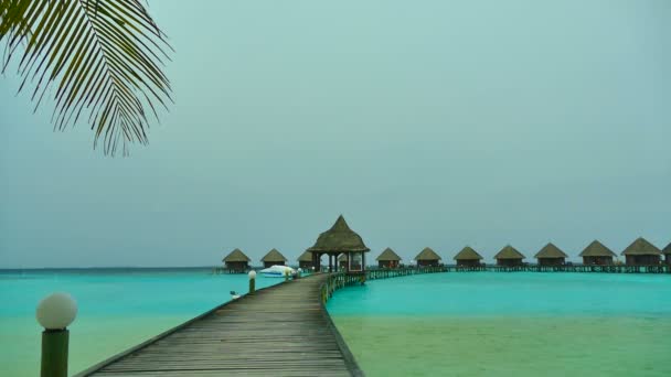 Όμορφη Μαλδίβες νησί με ωκεανό - Πλάνα, βίντεο