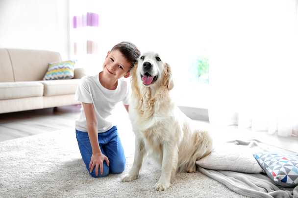 boy and cute dog  - Фото, изображение