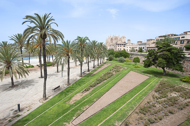 De kathedraal van Santa Maria van Palma de Mallorca, La Seu, Spanje - Foto, afbeelding