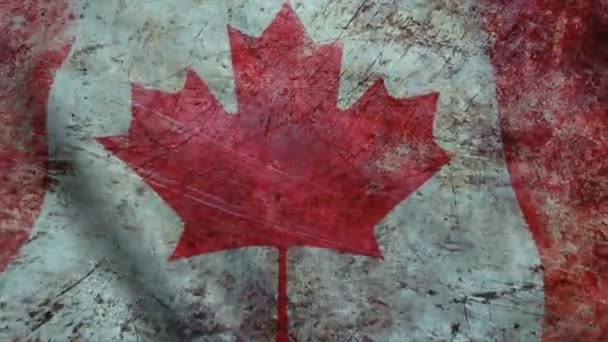 Realistic Ultra-HD flag of the Canada waving in the wind. Seamless loop with highly detailed fabric texture - Footage, Video