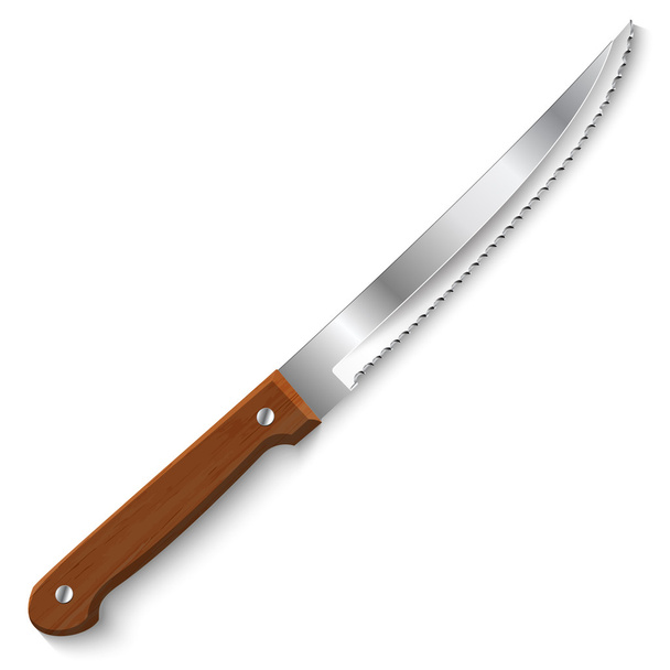 cuchillo sobre fondo blanco - Vector, Imagen