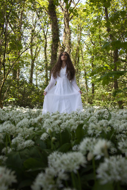 Beautiful woman in long white dress standing in a forest on a carpet of white flowers - Фото, изображение