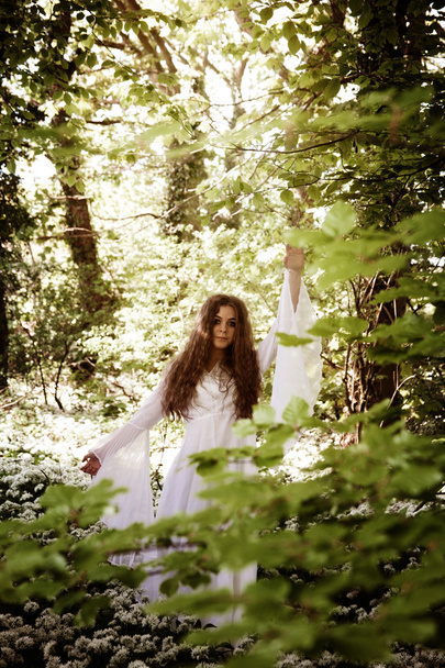長く白い服立っているブナの木の枝を探して森の中で美しい女性 - 写真・画像