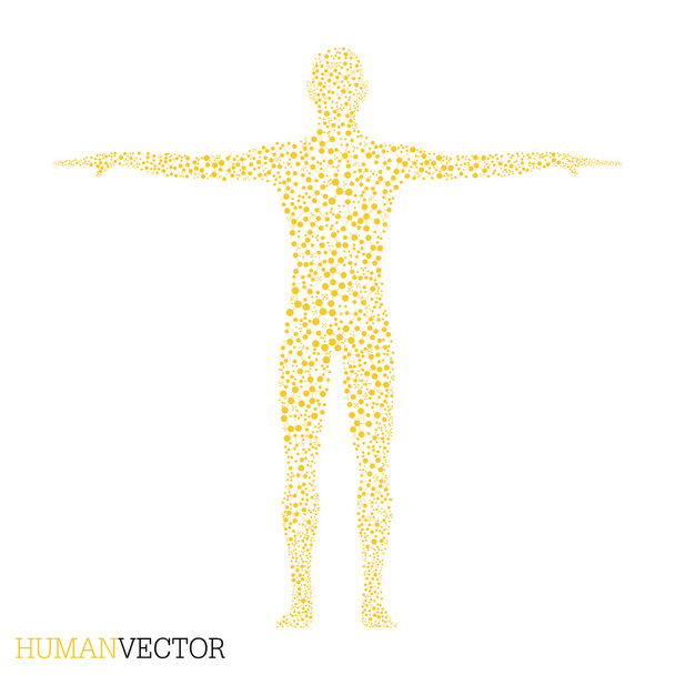 Humano. Estructura de la molécula del hombre. Medicina, ciencia y tecnología. Vector científico para su diseño
 - Vector, Imagen