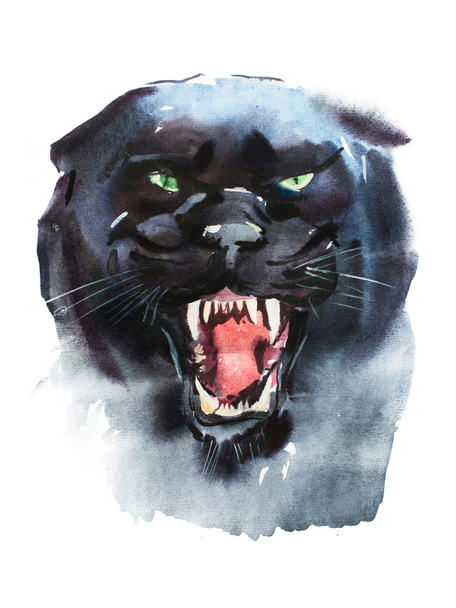 Акварельный рисунок сердитой пантеры
.  - Фото, изображение