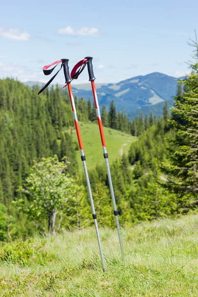 Coppia di bastoncini da trekking su uno sfondo di montagne boscose
 - Foto, immagini