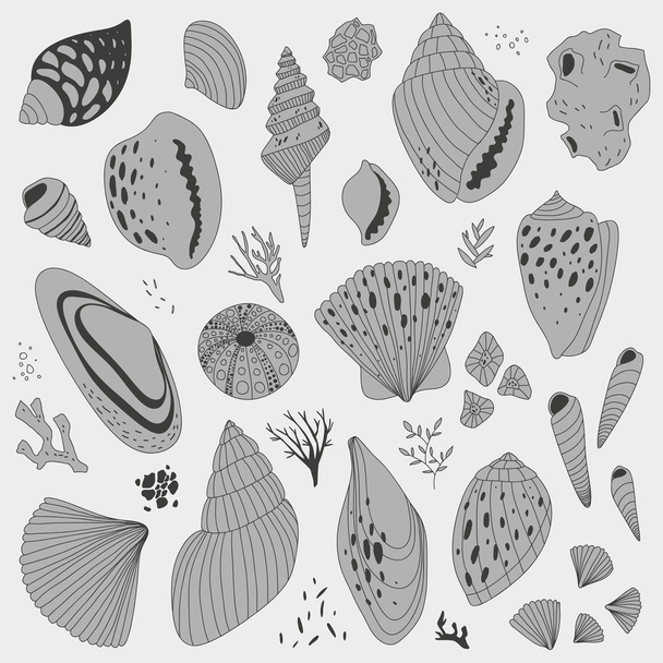 vector hand getekende illustratie met kleurrijke shells - Vector, afbeelding