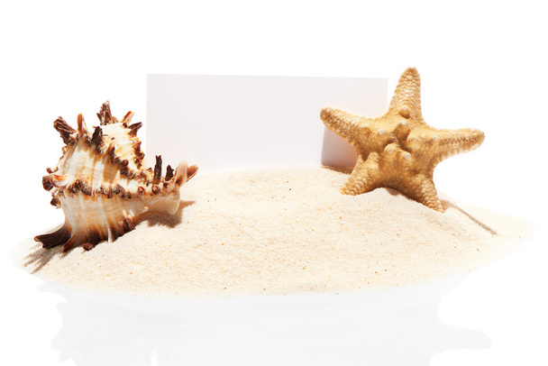 Visit card, starfish and seashell on pile of beach sand - Foto, imagen