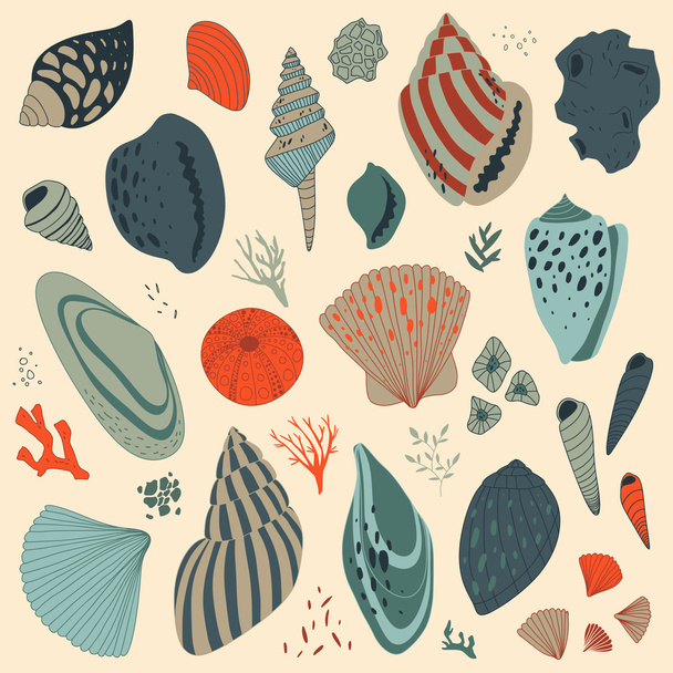 vector hand drawn illustration with colorful shells - Vector, Image