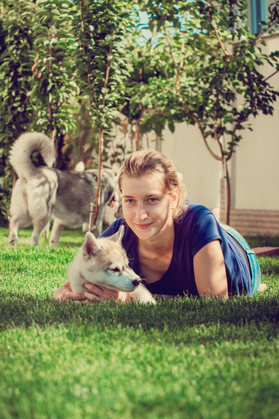 Jeune fille jouant avec un chien. Chiot Sibérien Husky.Beautiful femme avec husky extérieur.Femme avec chien husky sibérien souriant, assis sur une journée ensoleillée, sur une promenade avec chien
. - Photo, image