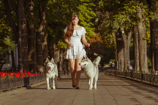 girl walking down the street with two dogs. A girl in a white dress. Siberian Huskies. - Photo, Image