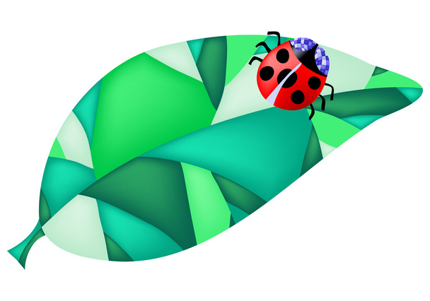 Ladybug on the leaf - Vector, Image