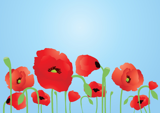 Red poppies - Vector, Image