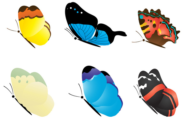 Multicolored flying butterfly collection - Vector, Image