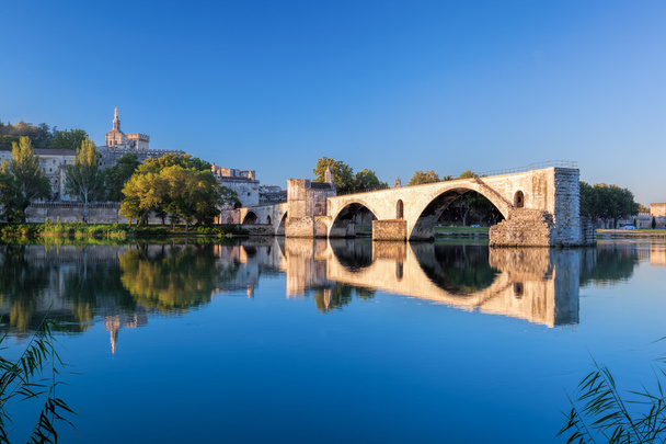 Ponte Avignon com Palácio dos Papas em Provence, França
 - Foto, Imagem